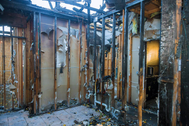 Professional Odor Removal technician working in Bellefontaine Neighbors, MO